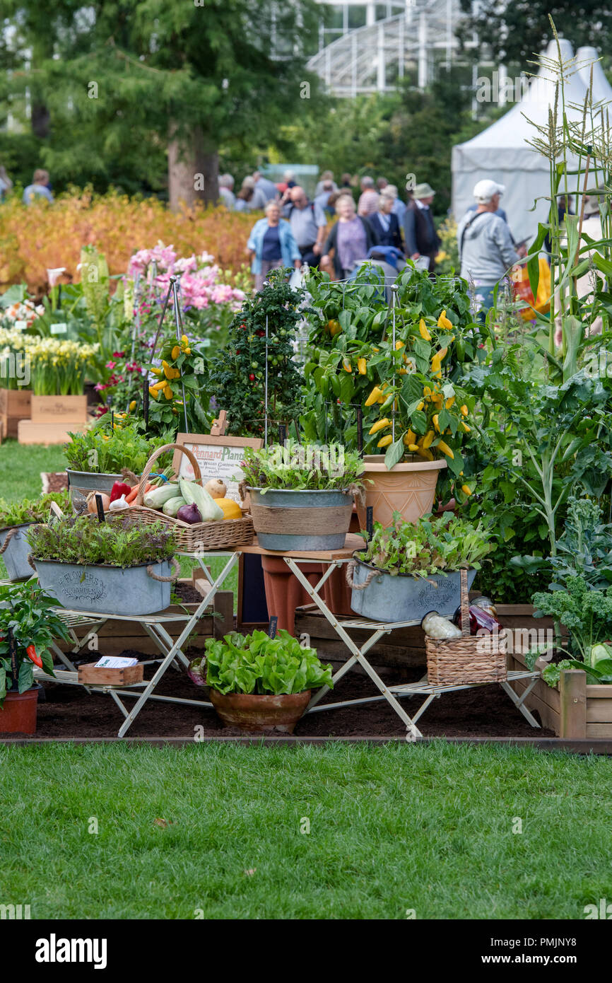 RHS Wisley Flower Show 2018. RHS Wisley Gardens, Surrey, Großbritannien Stockfoto