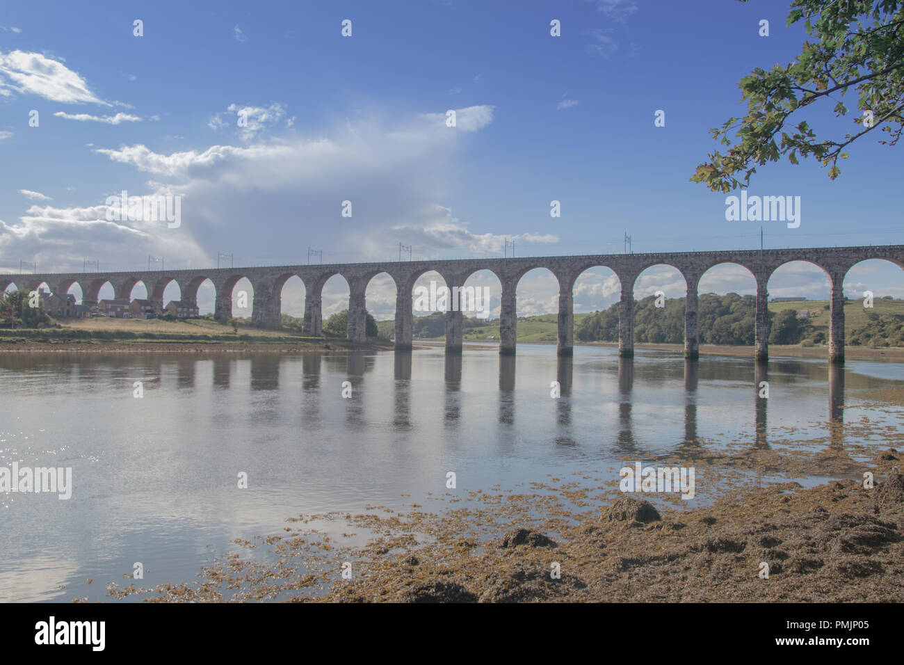 Berwick Brücke Stockfoto