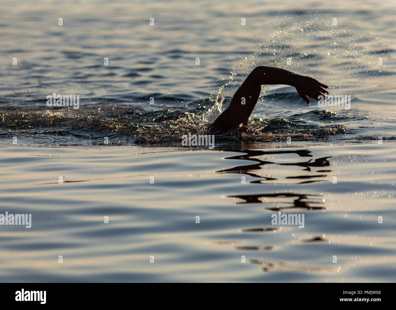 Schwimmer mit der Hand über der Wasseroberfläche Stockfoto