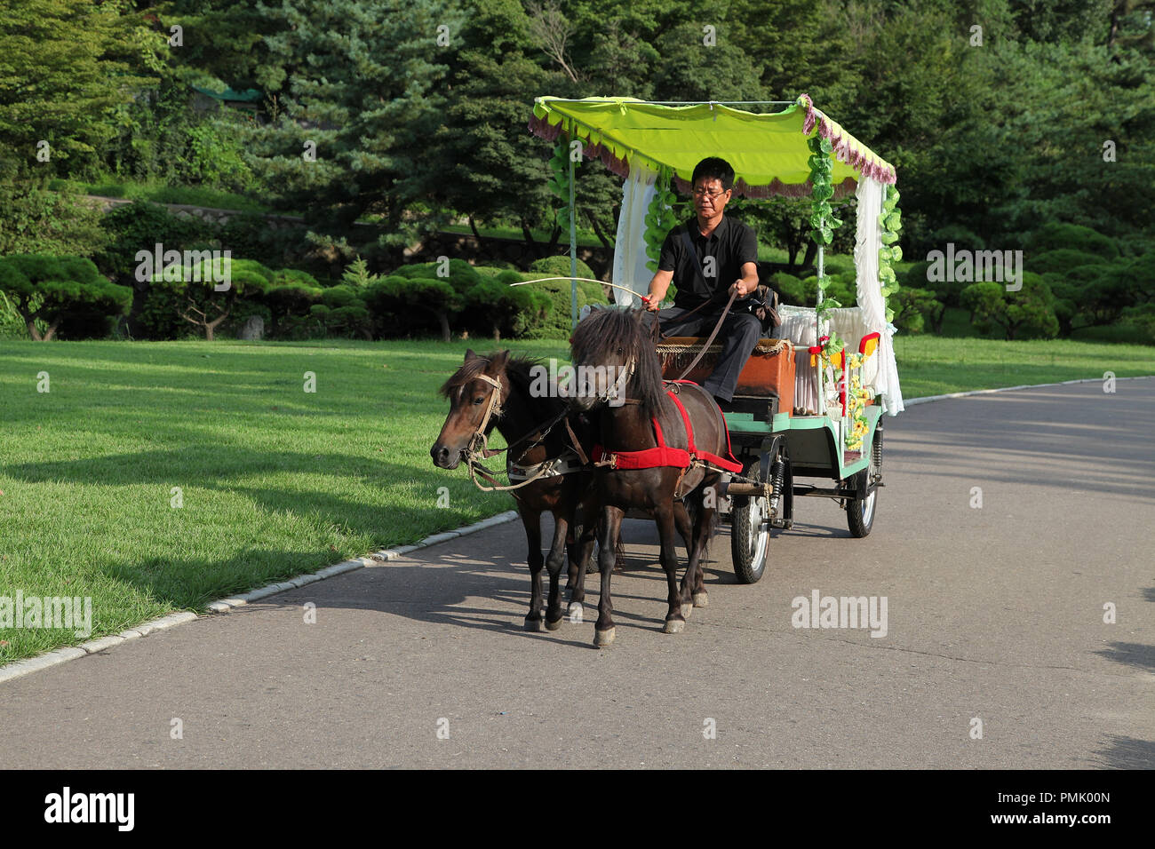 Von Pferden gezogene Fahrzeug Moranbong Park in Pjöngjang Stockfoto