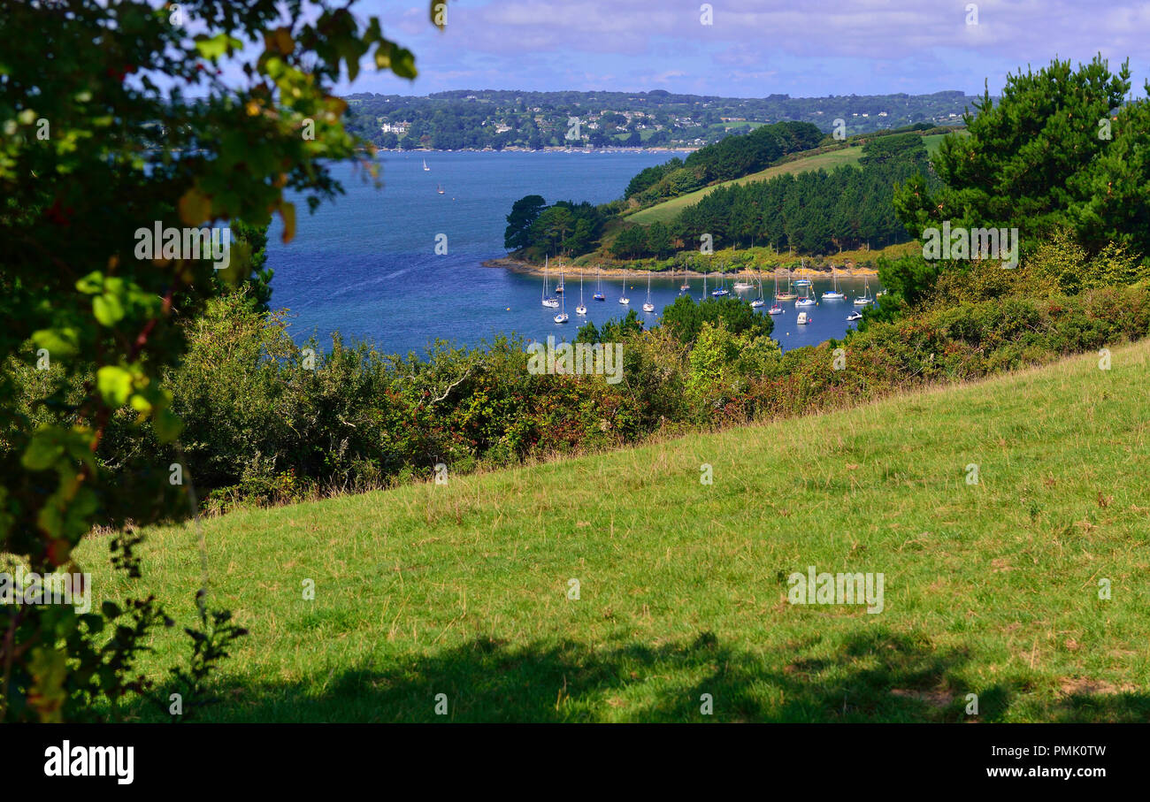 Küstenweg entlang der Carrick Roads auf dem Fluss Fal, Roseland Peninsula, St Just in Roseland, Cornwall, Großbritannien Stockfoto