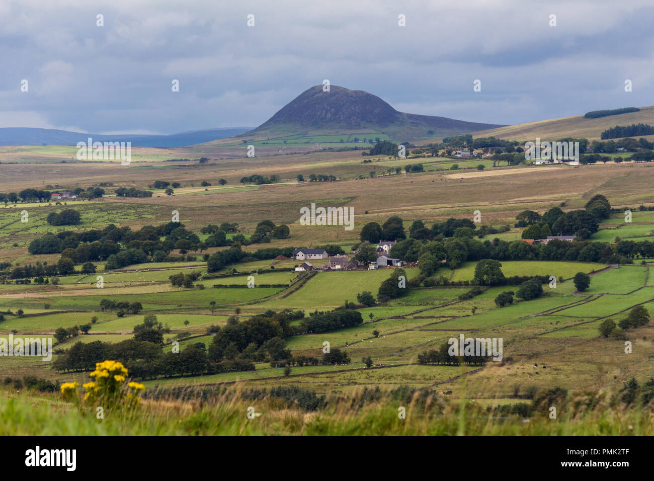 Slemish Mountain von offener Landschaft umgeben. Von den grossen Collin, in der Nähe von Ballymena, County Antrim, Nordirland gesehen. Stockfoto