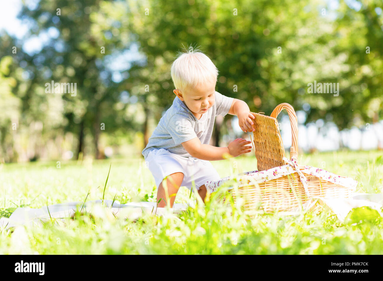 Süße kleine Zicklein die Erkundung der Korb in den Park Stockfoto