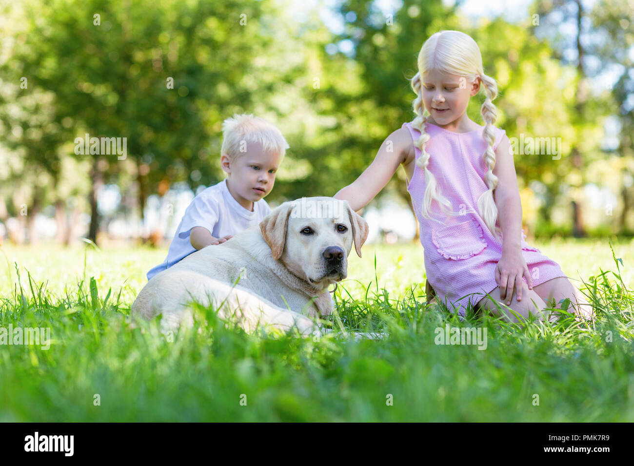 Angenehme Bruder und Schwester verbringen Sie einen Tag mit einem Hund Stockfoto