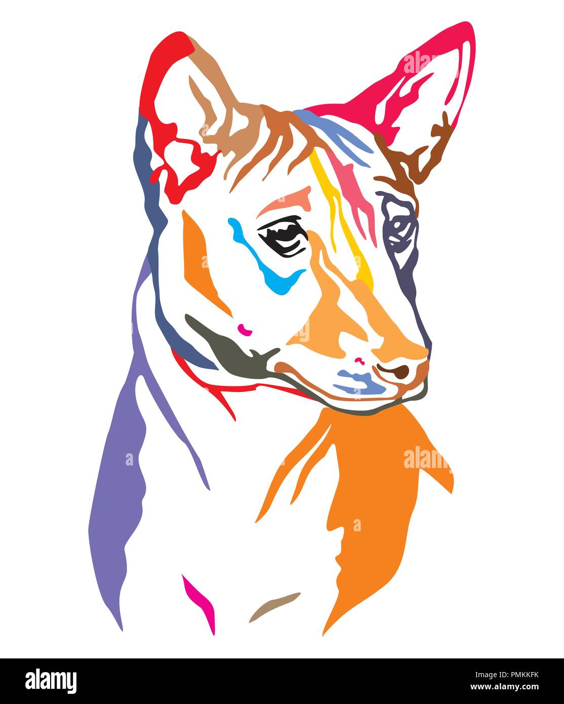 Bunt dekorativ Portrait von Hund Basenji, Vector Illustration in verschiedenen Farben auf weißem Hintergrund Stock Vektor