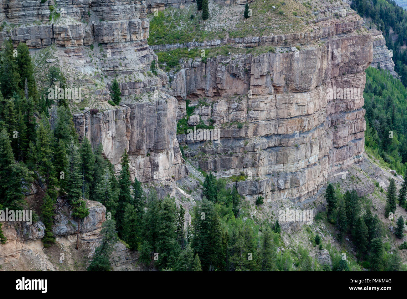Sedimentären Felsen Wände sind ein reichlich vorhandenes Feature, wo das Colorado Plateau und die felsigen Berge treffen in der nähe von Durango, Co. Stockfoto