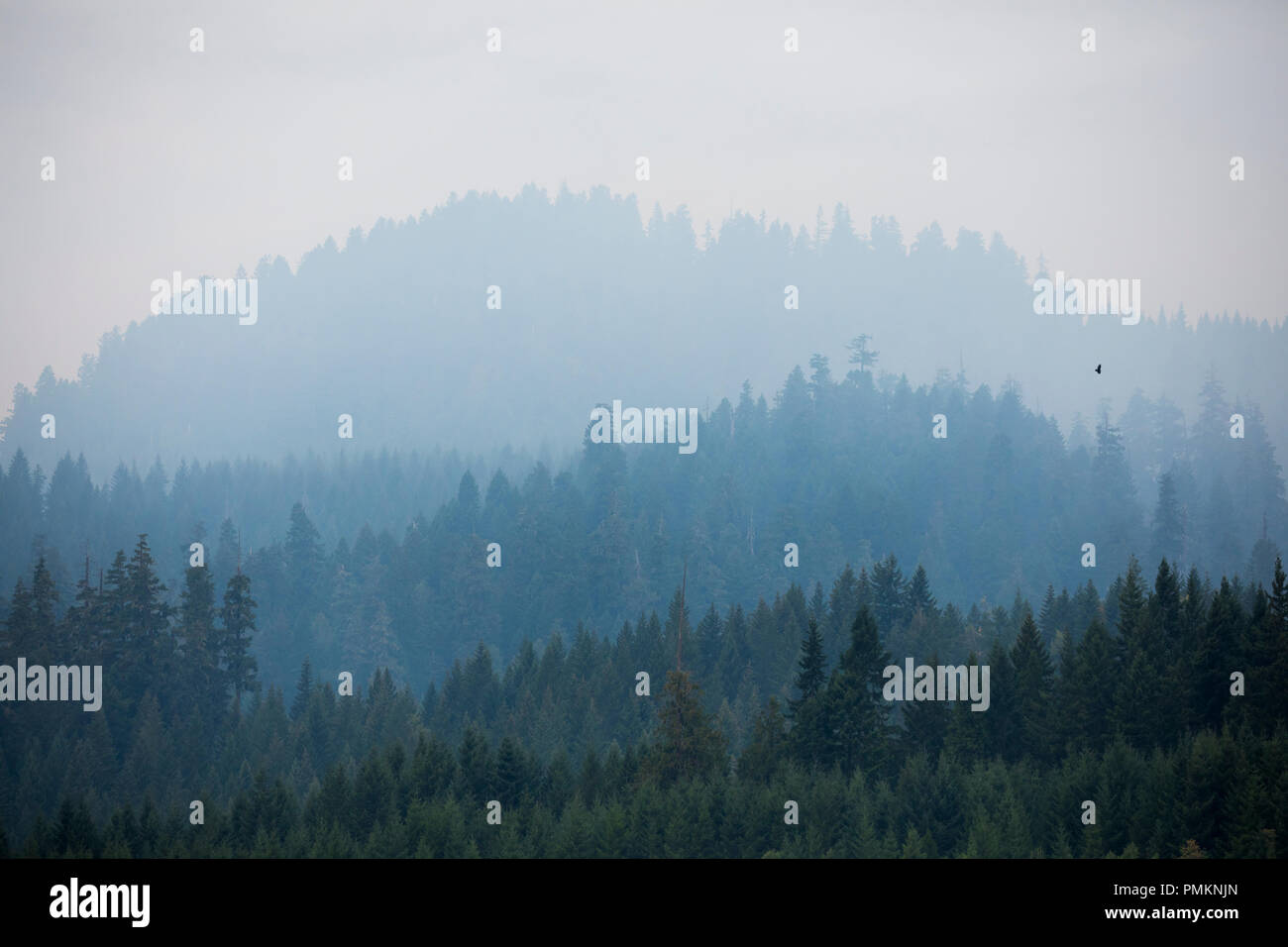 Rauch bedeckte Berge aus dem terwilliger Feuer in der Willamette National Forest. Stockfoto