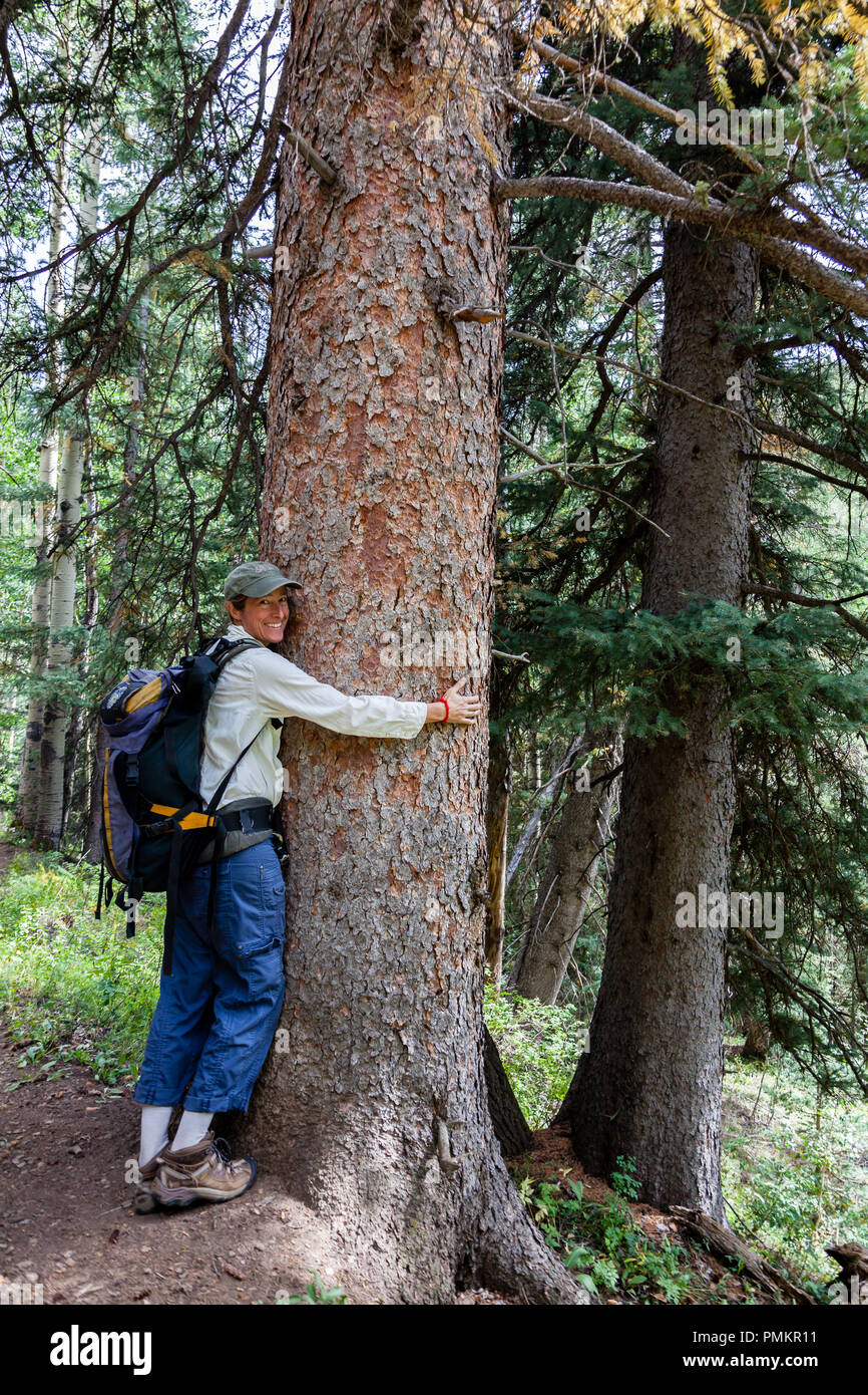 Viele Leute, die Baum umarmen beruhigend finden, sind beschriftet worden "Öko-Freaks" oder "umweltschützer". Sie suchen die Verbindung mit der Natur Stockfoto