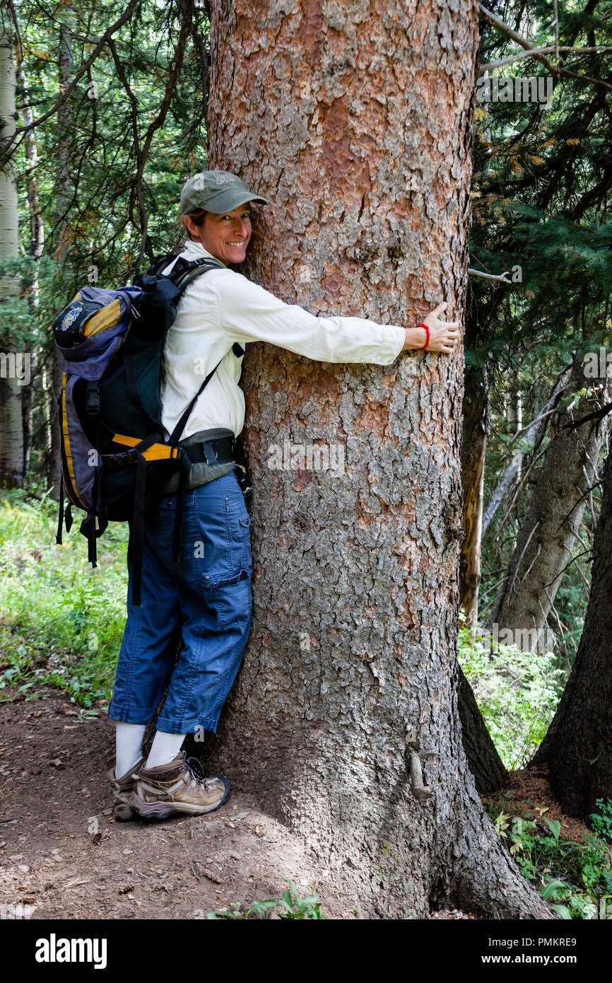 Viele Leute, die Baum umarmen beruhigend finden, sind beschriftet worden "Öko-Freaks" oder "umweltschützer". Sie suchen die Verbindung mit der Natur Stockfoto