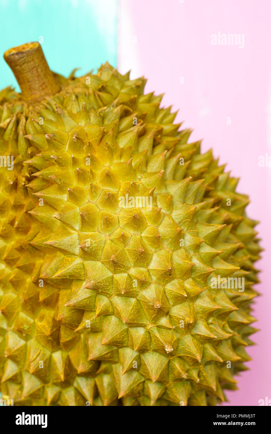 Frisch Monthong Durian auf farbigen Hintergrund, Detailansicht der Durian, Monthong Durian. Mon Thong. Schöne Durian Durian D158. Stockfoto