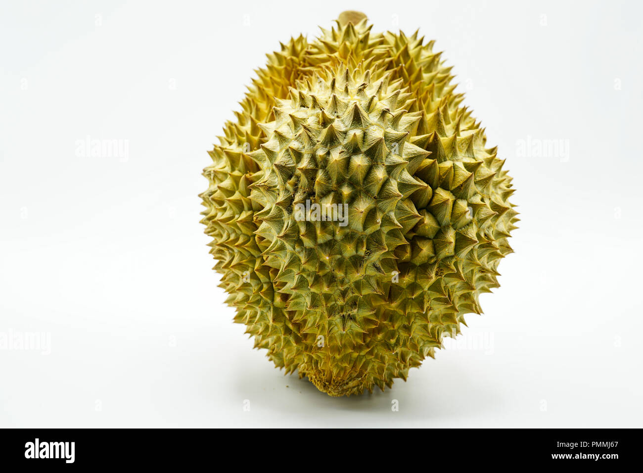 Frisch Monthong Durian auf weißem Hintergrund, Detailansicht der Durian, Monthong Durian. Mon Thong. Schöne Durian Durian D158. Stockfoto