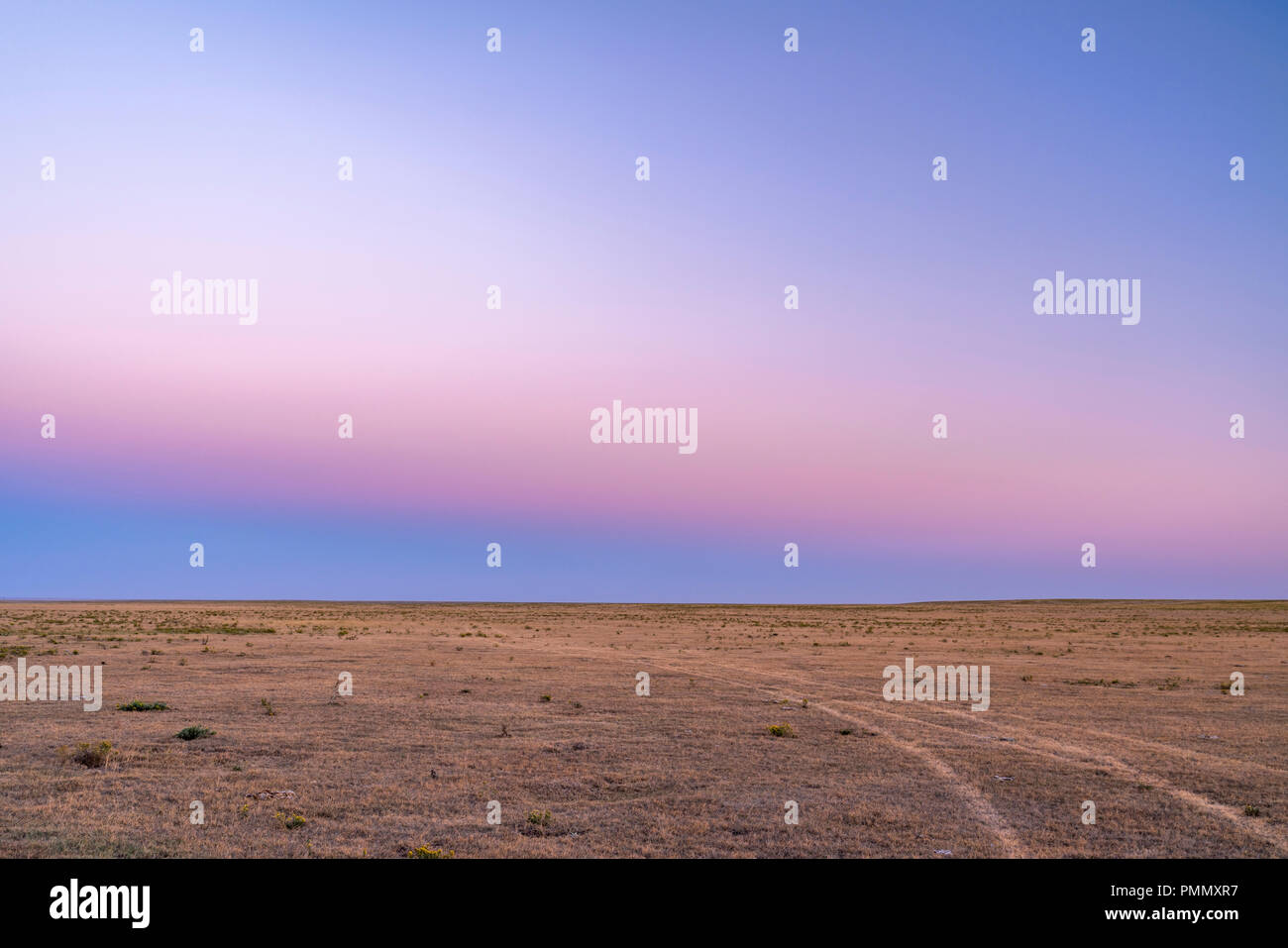 Typische klare Himmel nach Sonnenuntergang in der Prärie in nördlichen Colorado - Pawnee National Grassland Stockfoto