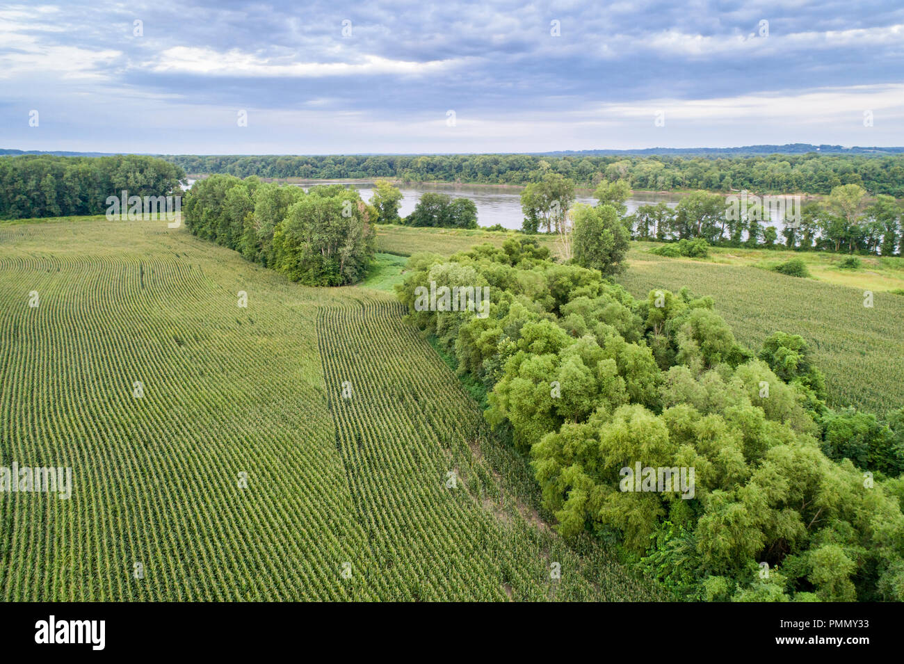 Maisfelder in einem Tal des Missouri River, Missouri - Luftbild Stockfoto