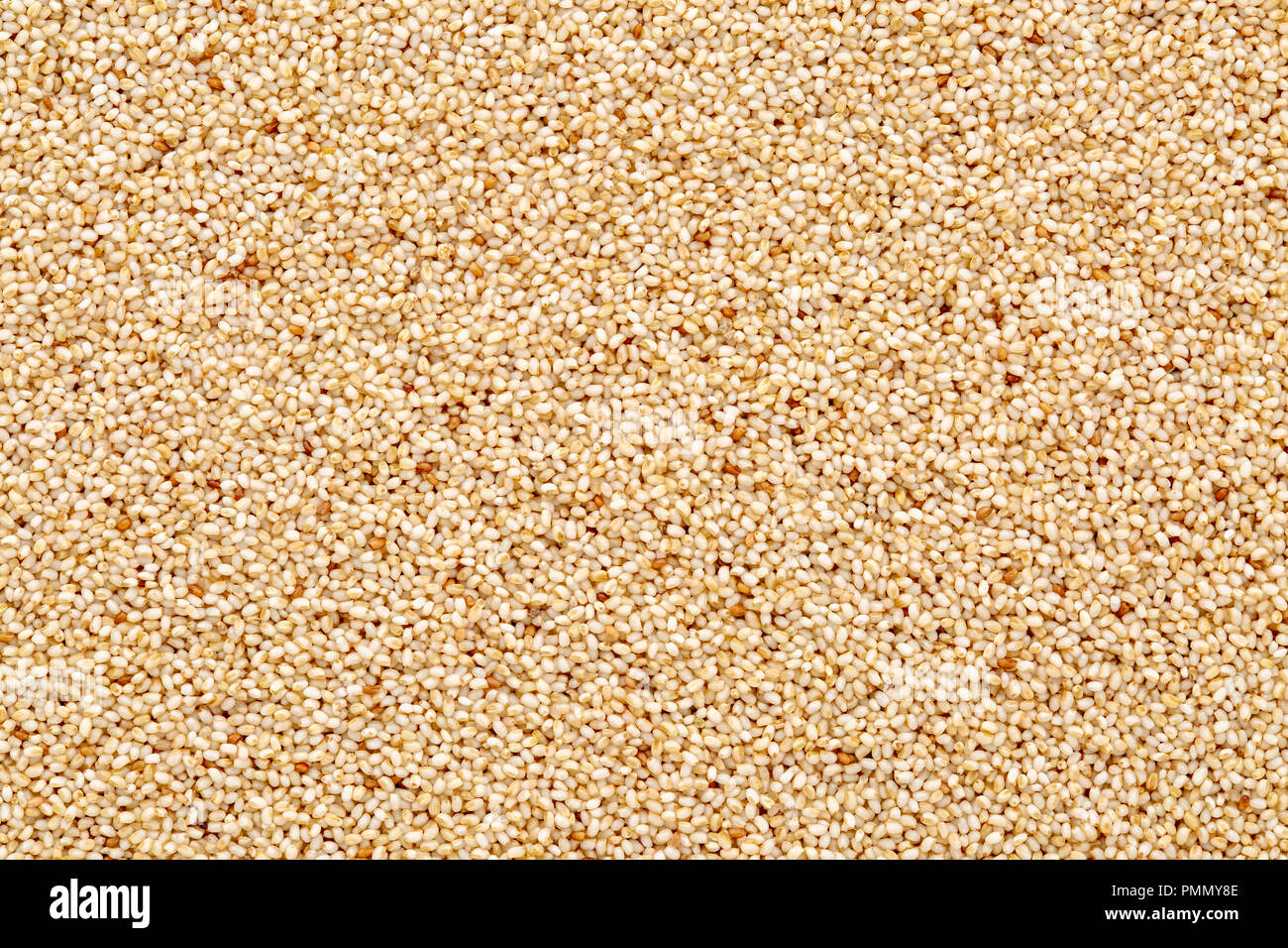 Glutenfreie elfenbein Teff grain Hintergrund - wichtige Nahrungsmittel Getreide in Äthiopien und Eritrea Stockfoto