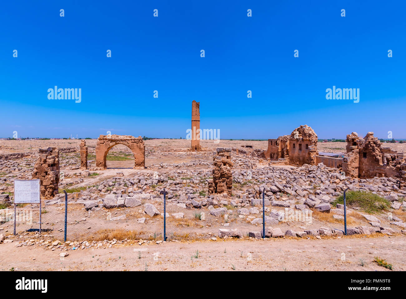 Ruinen der Universität in Harran. Es war eine der wichtigsten Ayyubid Gebäude der Stadt, in der klassischen Revival Stil gebaut. Sanliurfa, Türkei Stockfoto