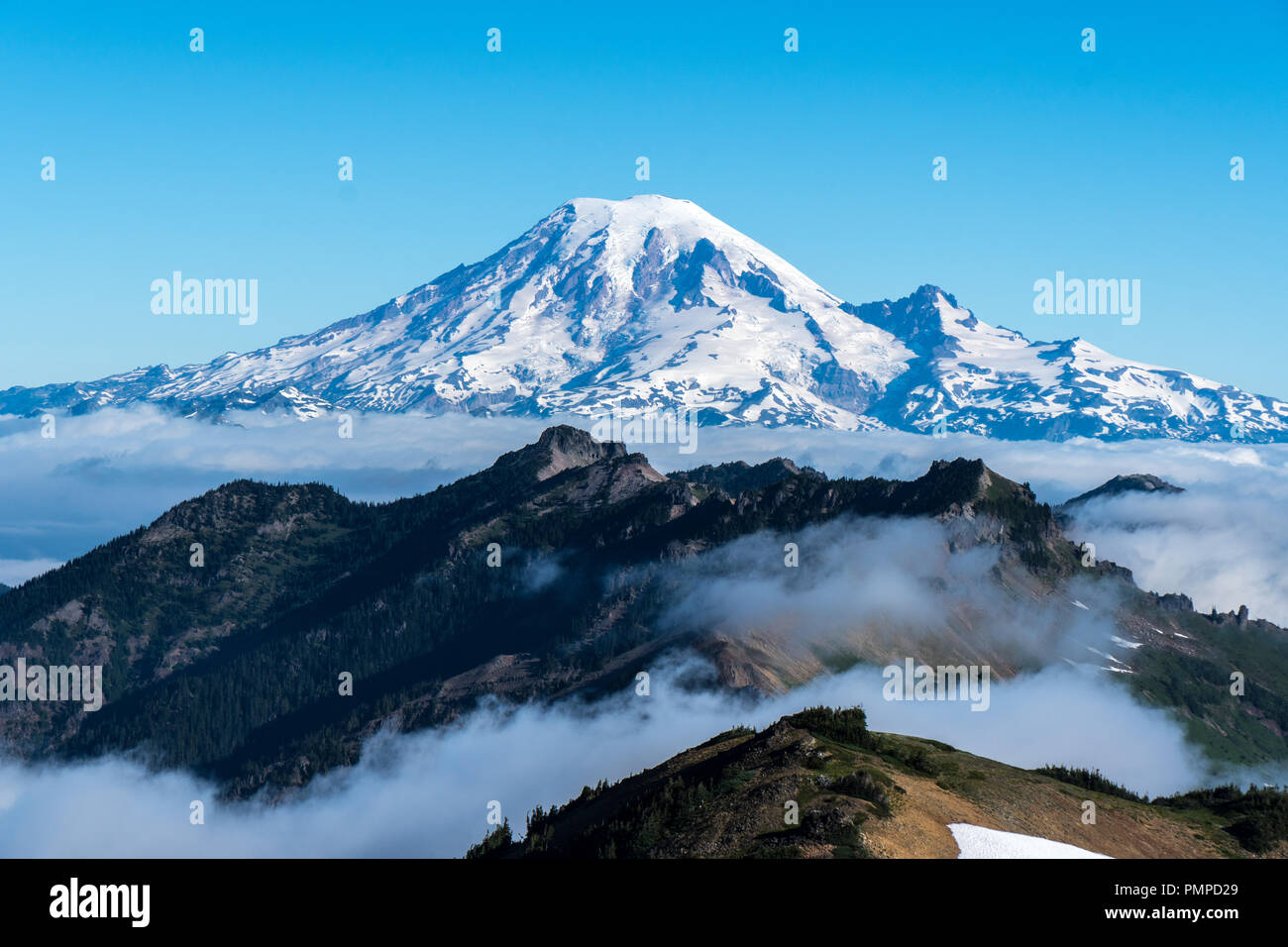 Mount Rainier Blick von Goar Rock, Washington Stockfoto