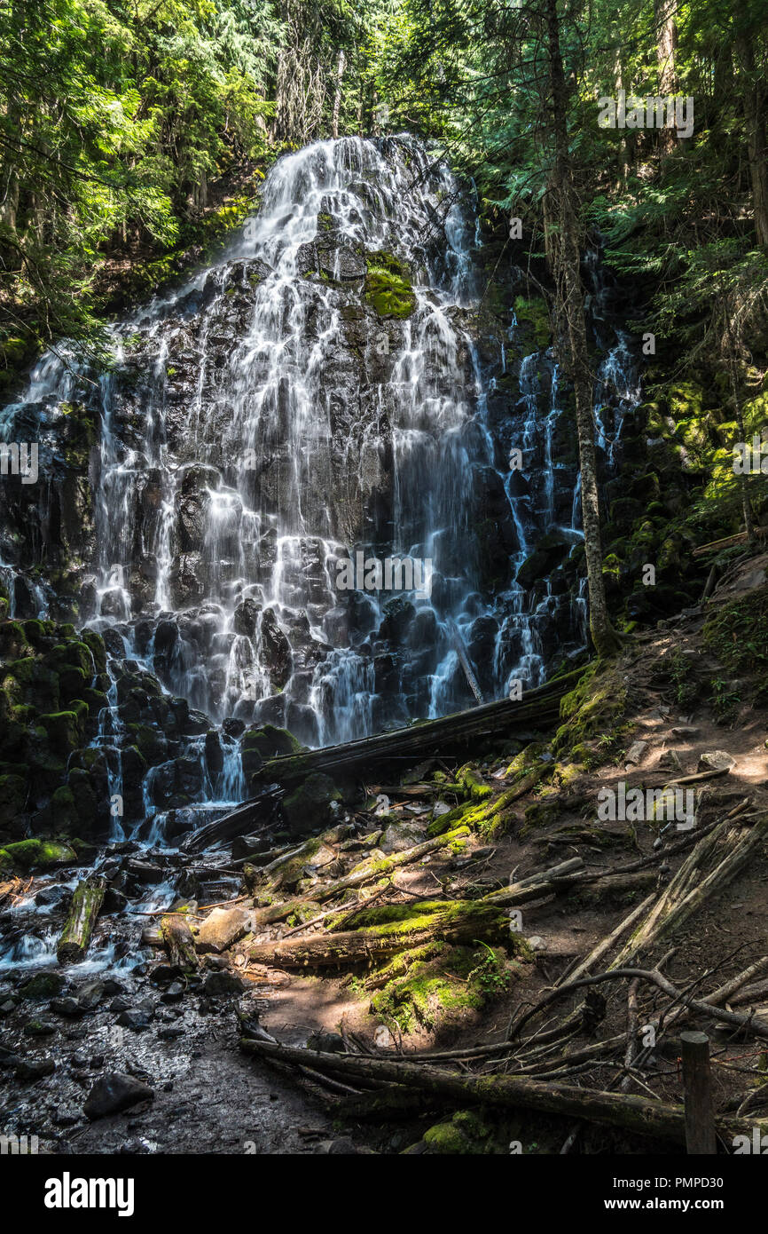 Ramona Falls entlang des Pacific Crest Trail, Oregon Stockfoto