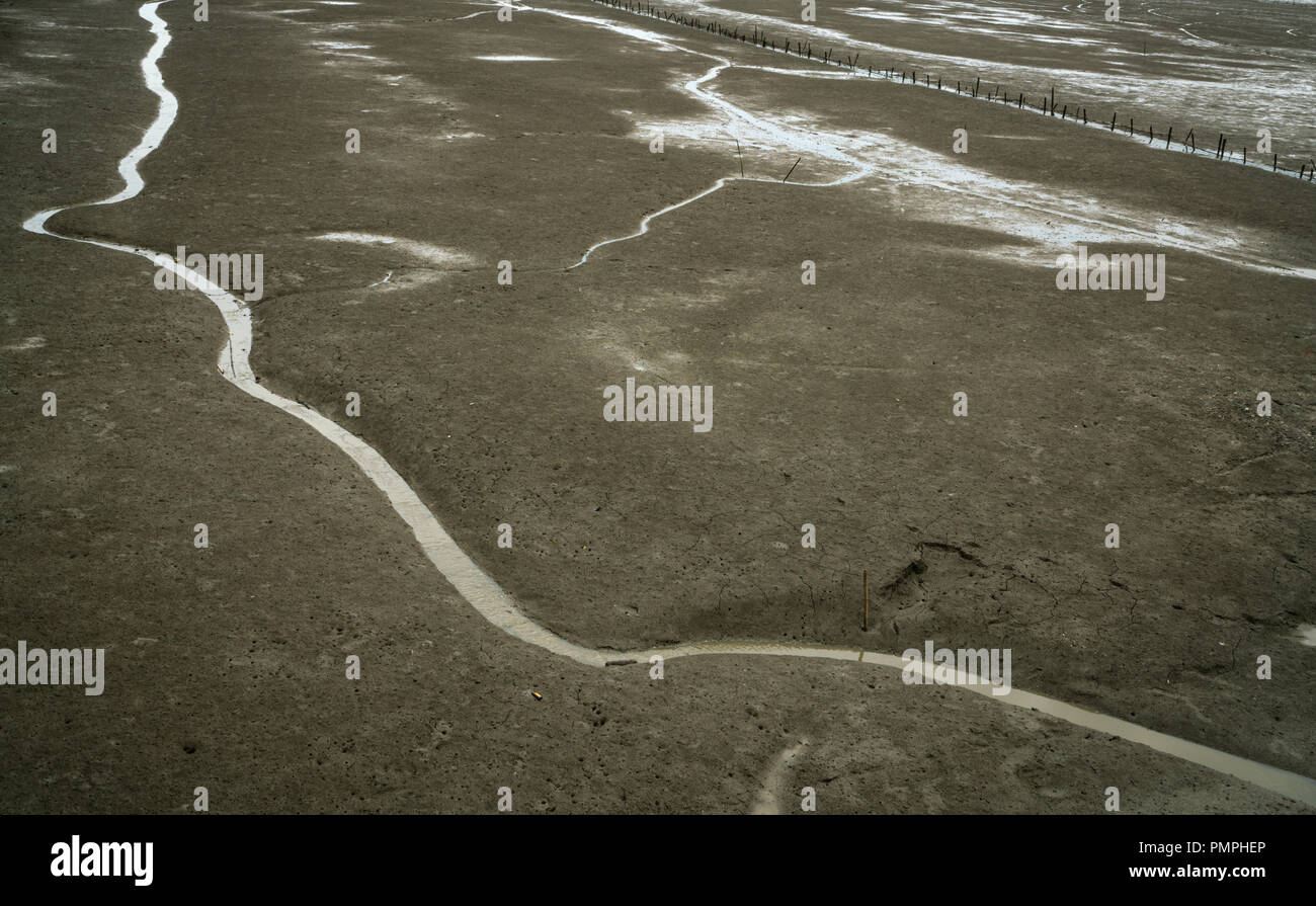 Landschaft der Küsten Schlamm. Einsamkeit. Strand bei Ebbe. Wasser Kanal mit natürlichen Muster. Grauen Ton. Küstenökosysteme. Delta Mündung. Stockfoto