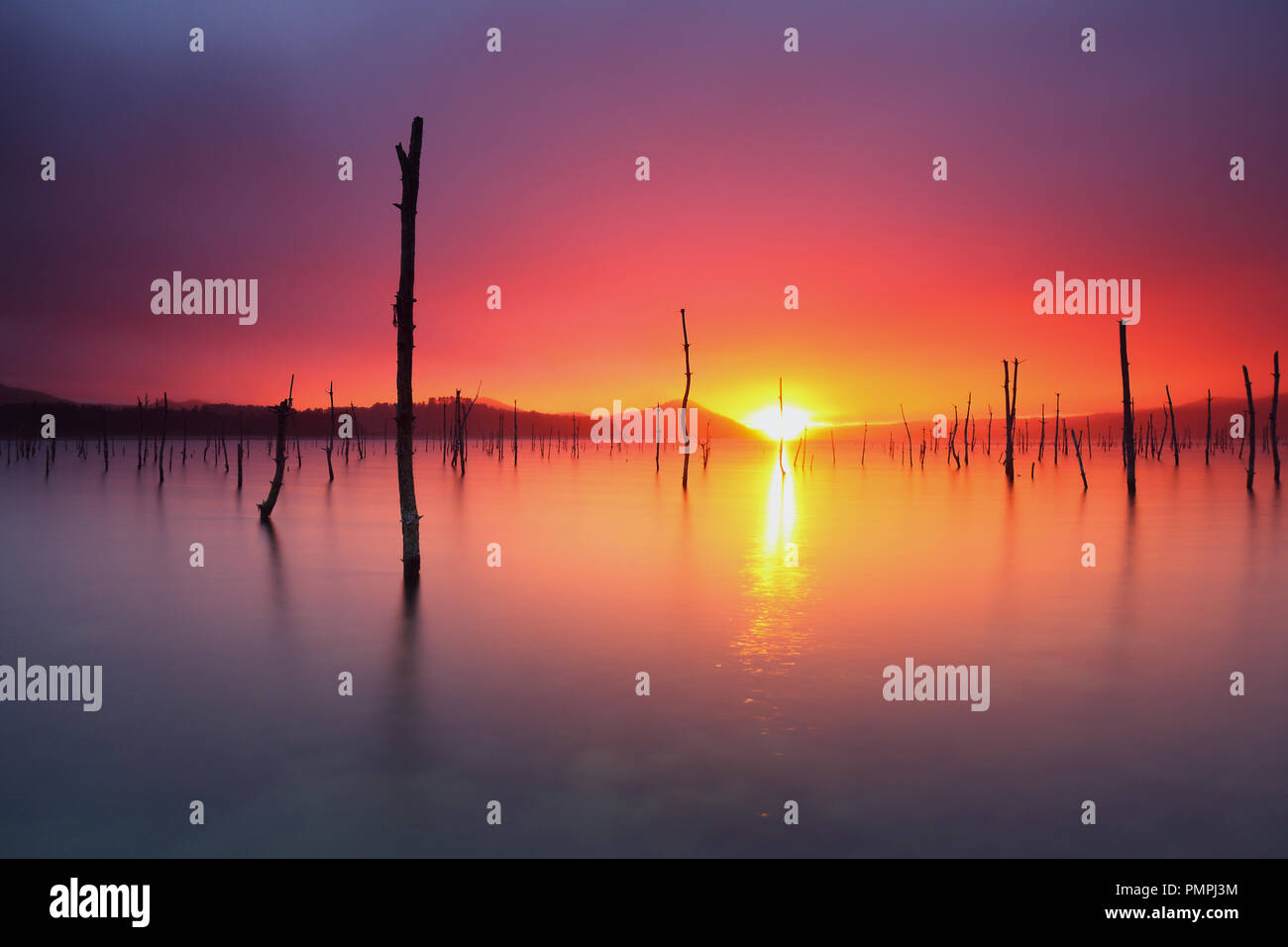 Erstaunlich Sonnenaufgang über Landa Sumpf in Álava (Baskenland) Stockfoto