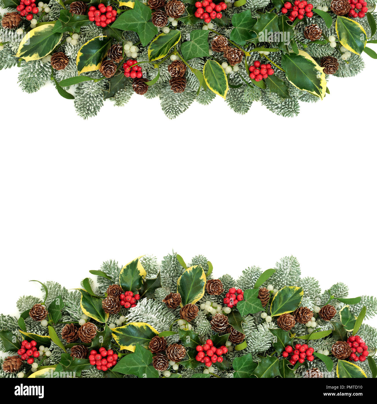 Traditionelle Weihnachten und Winter natürliche Hintergrund Grenze mit Stechpalme Beeren, Schnee, bedeckt, Efeu, Fichte, Tannenzapfen und Mistel auf Weiß mit c Stockfoto