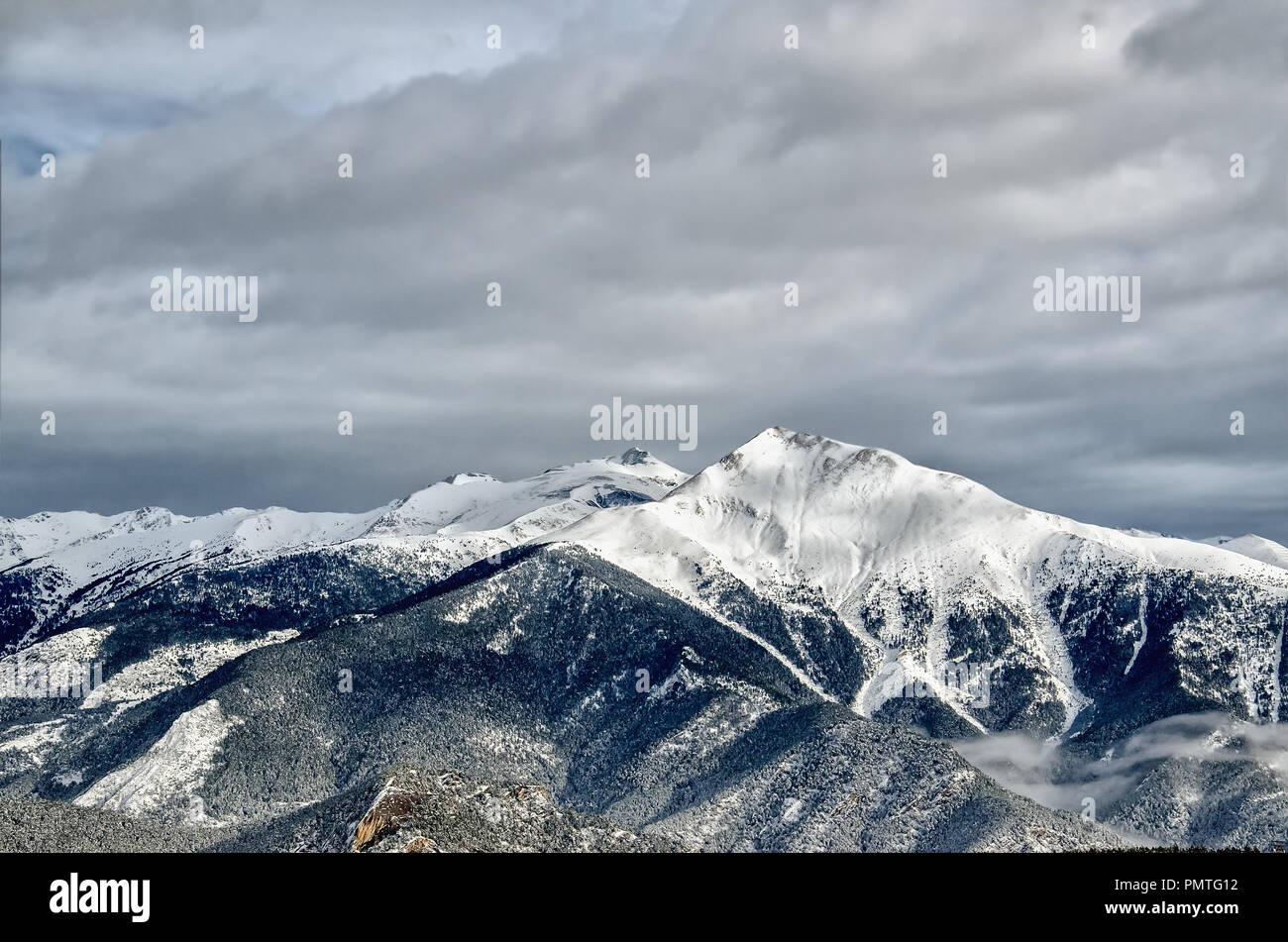 Gebirge und Wald wachsen auf Es sind von Schnee bedeckt. Bewölkt und Moody Wetter. Dramatische strenge Winter Berge Landschaft Hintergrund mit kopieren Stockfoto