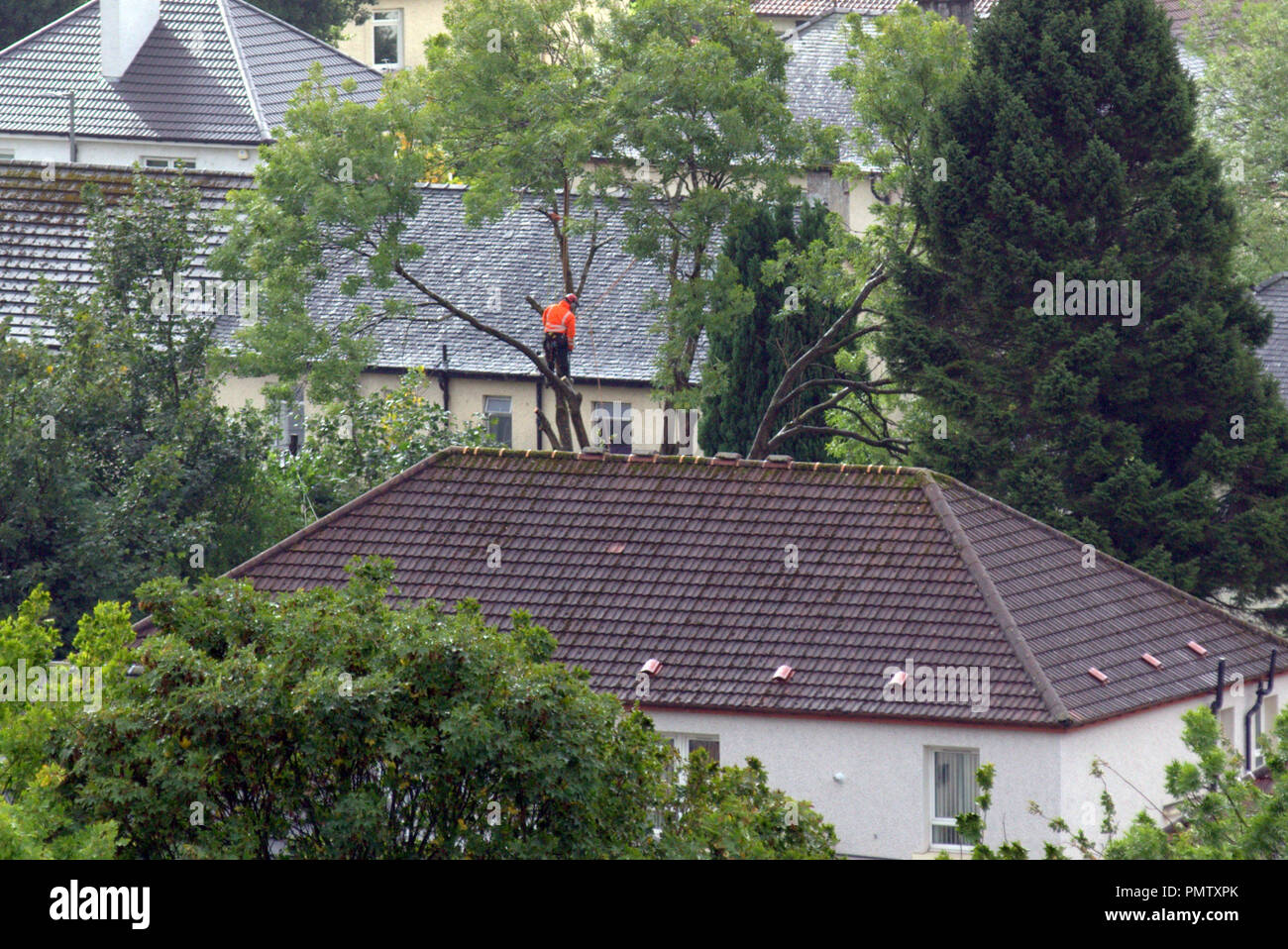 Glasgow, Schottland, UK, 19. September 2018. UK Wetter: Sturm Ali erschien in der Stadt über Nacht, Wind und Regen und nur in Glasgow würde jemand sein 30 Fuß in der Luft mit einer Kettensäge als Sturm um ihn blies. Gerard Fähre / alamy Nachrichten Stockfoto