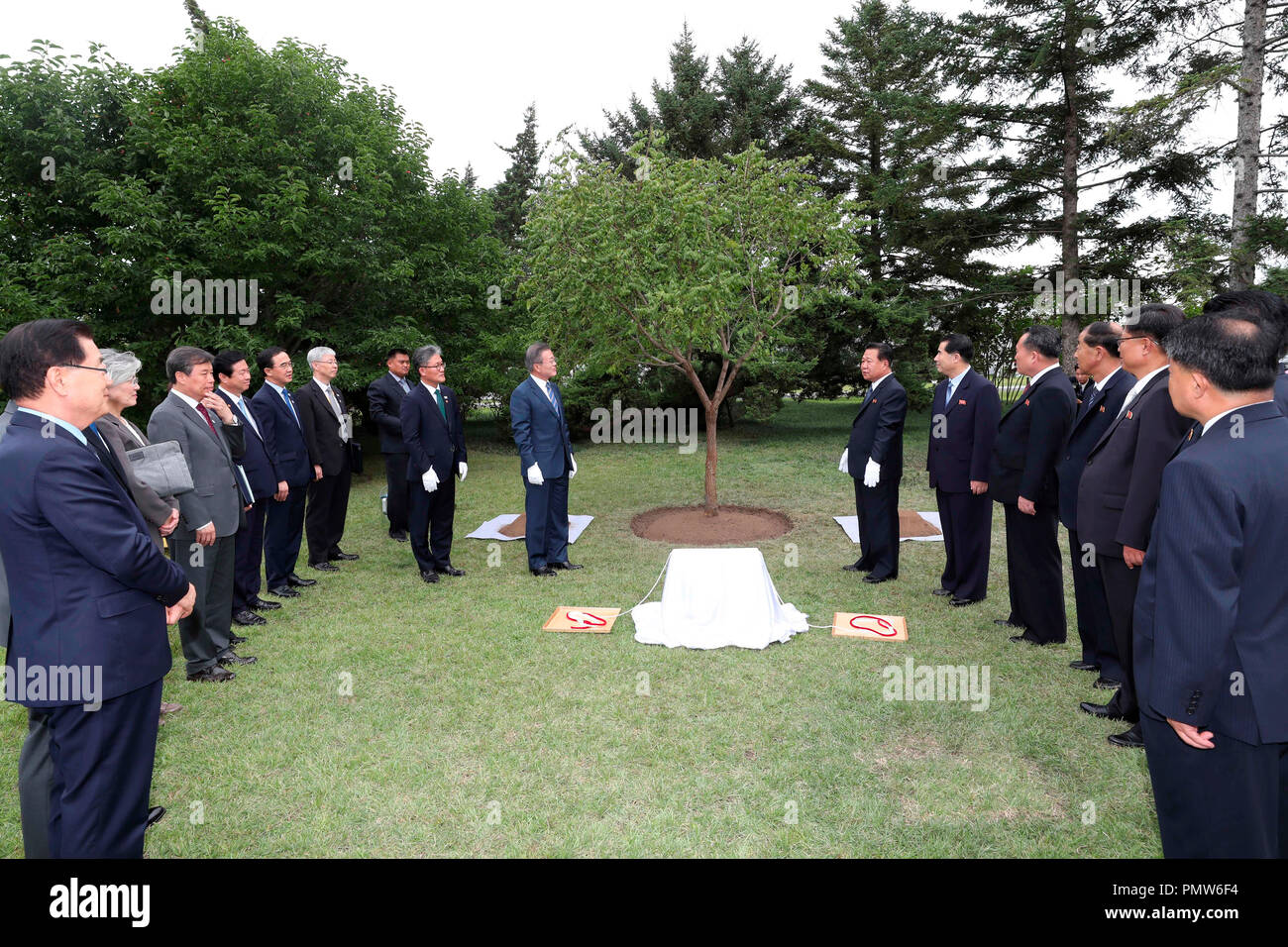 Innerkoreanischen Gipfeltreffen, 19.09.2018: Koreanische Präsident Mond Jae-In und Vice Chairman der Nordkoreanischen Regierungspartei Choe Ryong-hae (R) Pflanze einen Baum mit einem 10 Jahre alten goldenrain aus Südkorea an der Paekhwawon State Guest House in Pyongyang, Nordkorea. Redaktion VERWENDEN SIE NUR Credit: Pyeongyang Pressekorps/Pool/LBA/Alamy leben Nachrichten Stockfoto