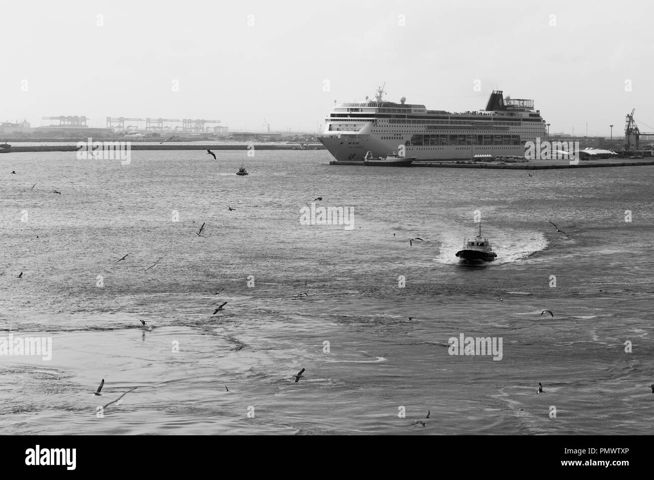 Ein Pilot Boot Escorts ein Kreuzfahrtschiff (nicht im Bild) aus Meer mit einem anderen Schiff in den Hintergrund. Möwen kreisen über dem Wasser gestört. Stockfoto