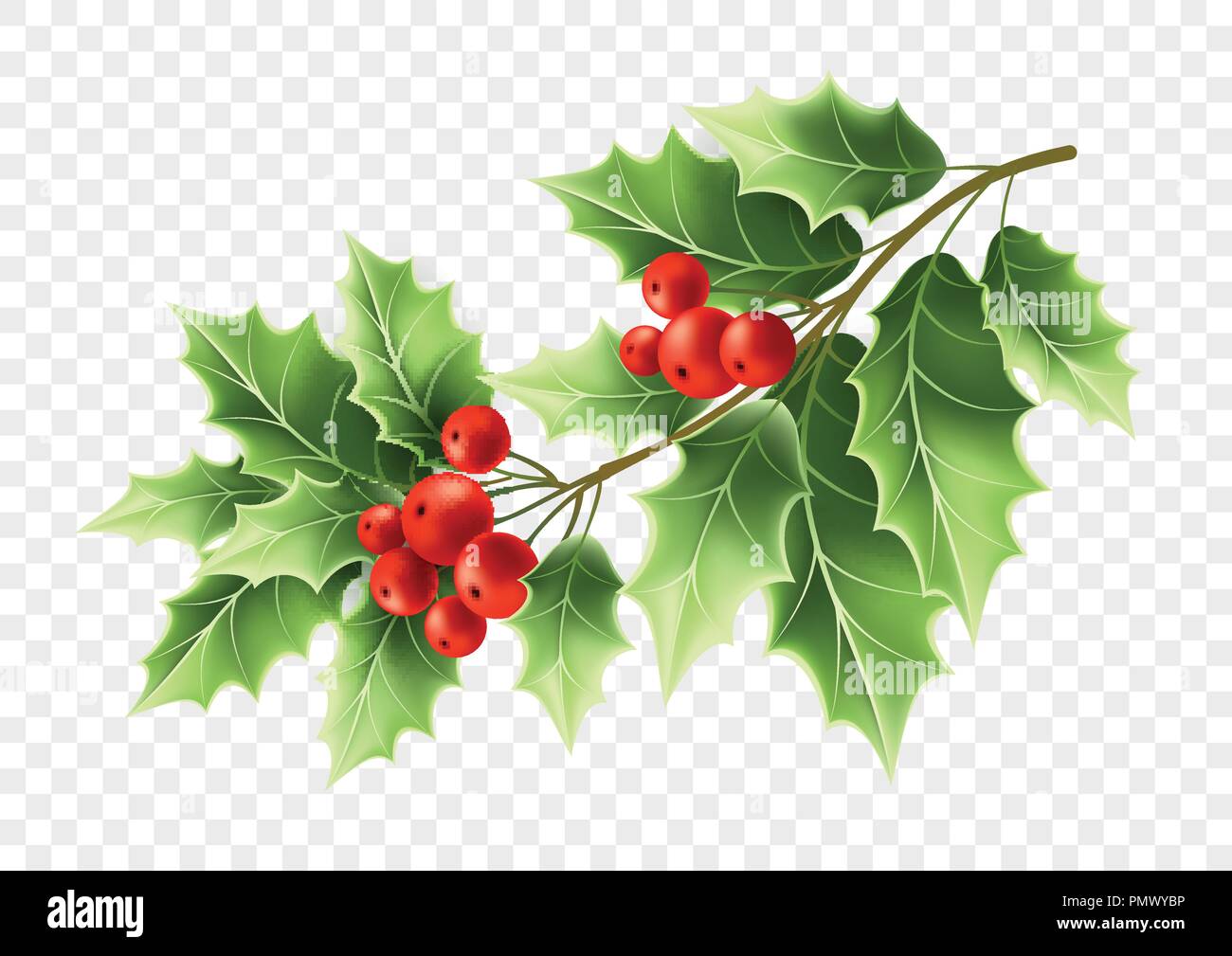 Weihnachten Holly Tree Branch realistische Abbildung Stock Vektor