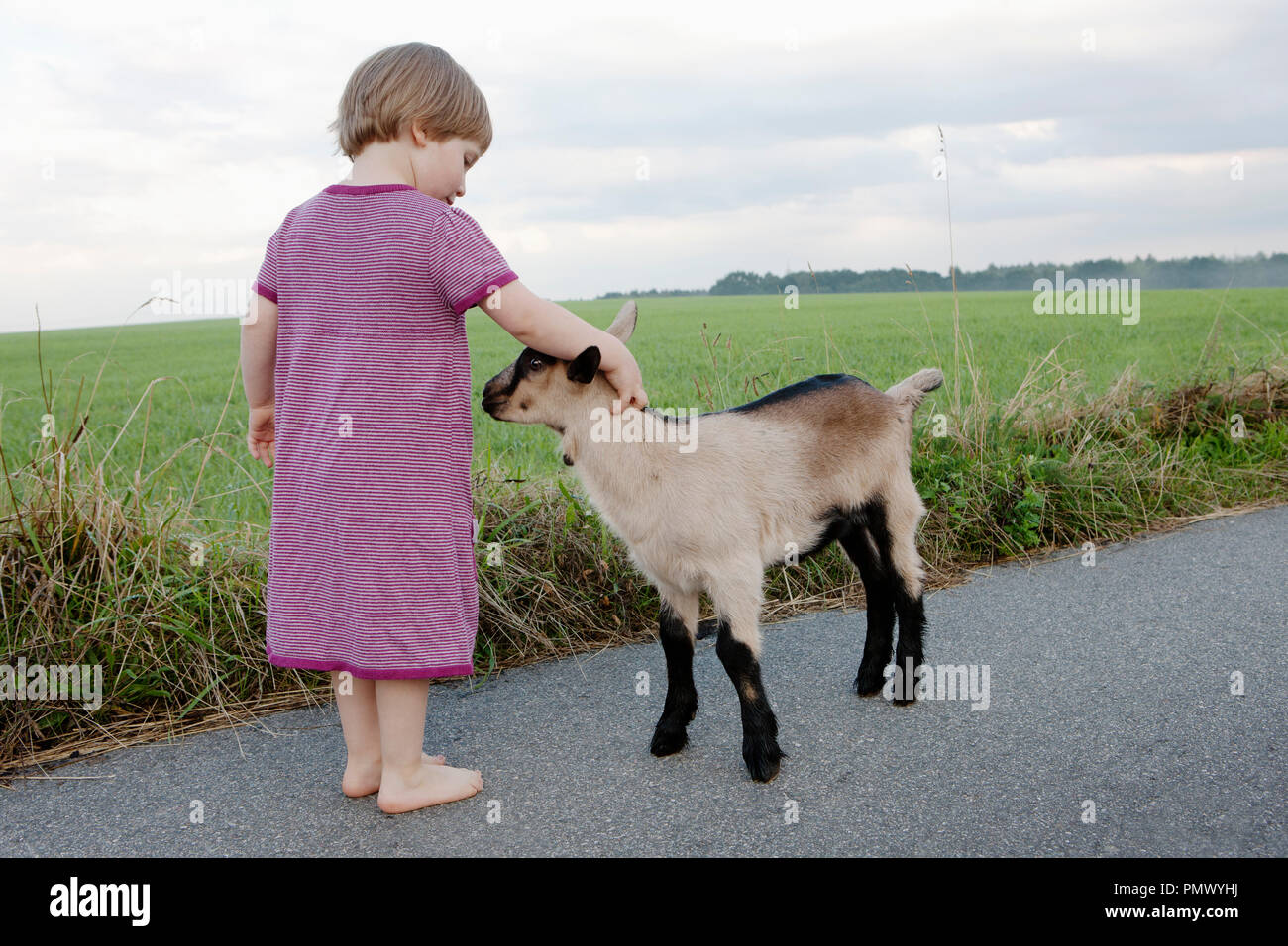 Süße Mädchen petting Ziege auf ländlichen Straßen Stockfoto