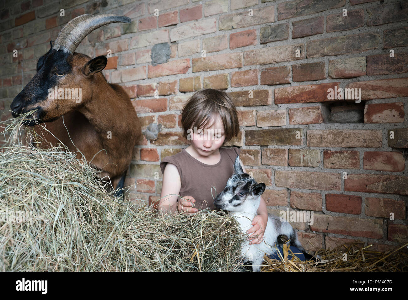 Mädchen sitzen im Heu mit Ziegen in der Scheune Stockfoto