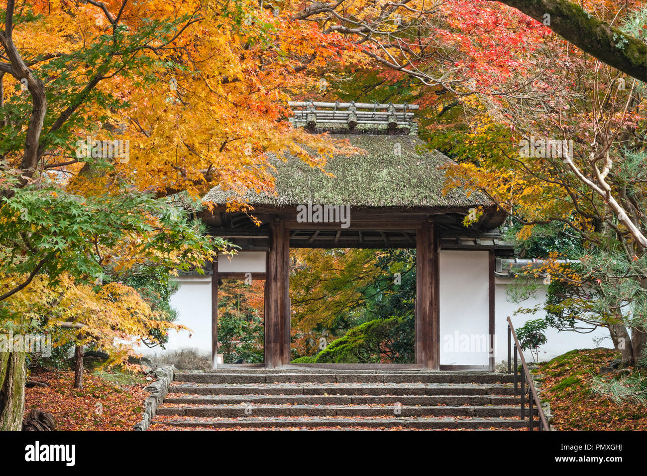 Herbst Farbe in Kyoto, Japan. Das Tor zu Anraku-ji Tempel, gerade weg weg der berühmte Philosoph, im Herbst gesehen Stockfoto