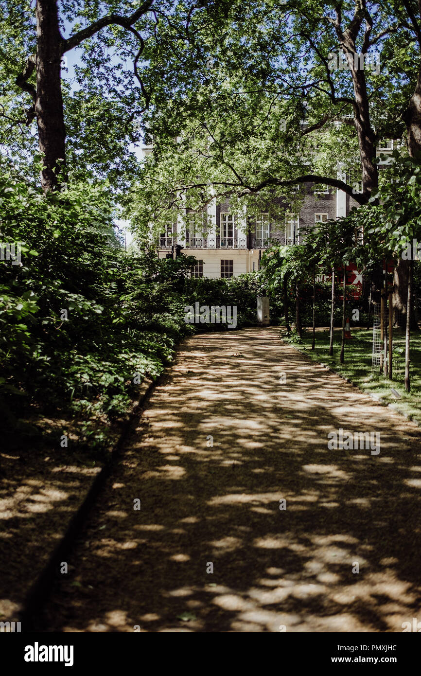 Dappled Sonnenlicht durch die Bäume in einem Tavistock Square Gardens, einem öffentlichen Park im Zentrum von London Stockfoto