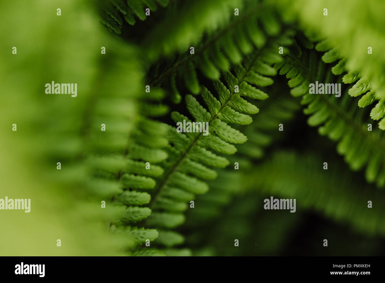 Abstrakte Fotografien Stockfoto