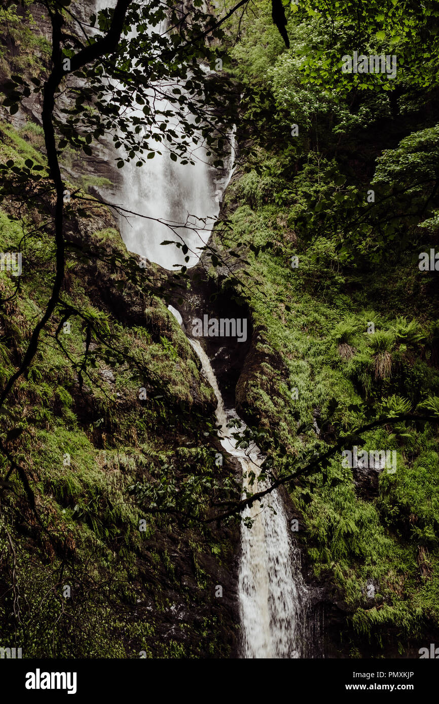 Wandern die Landschaft durch Pistyll Rhaeadr Wasserfall im Norden von Wales Stockfoto