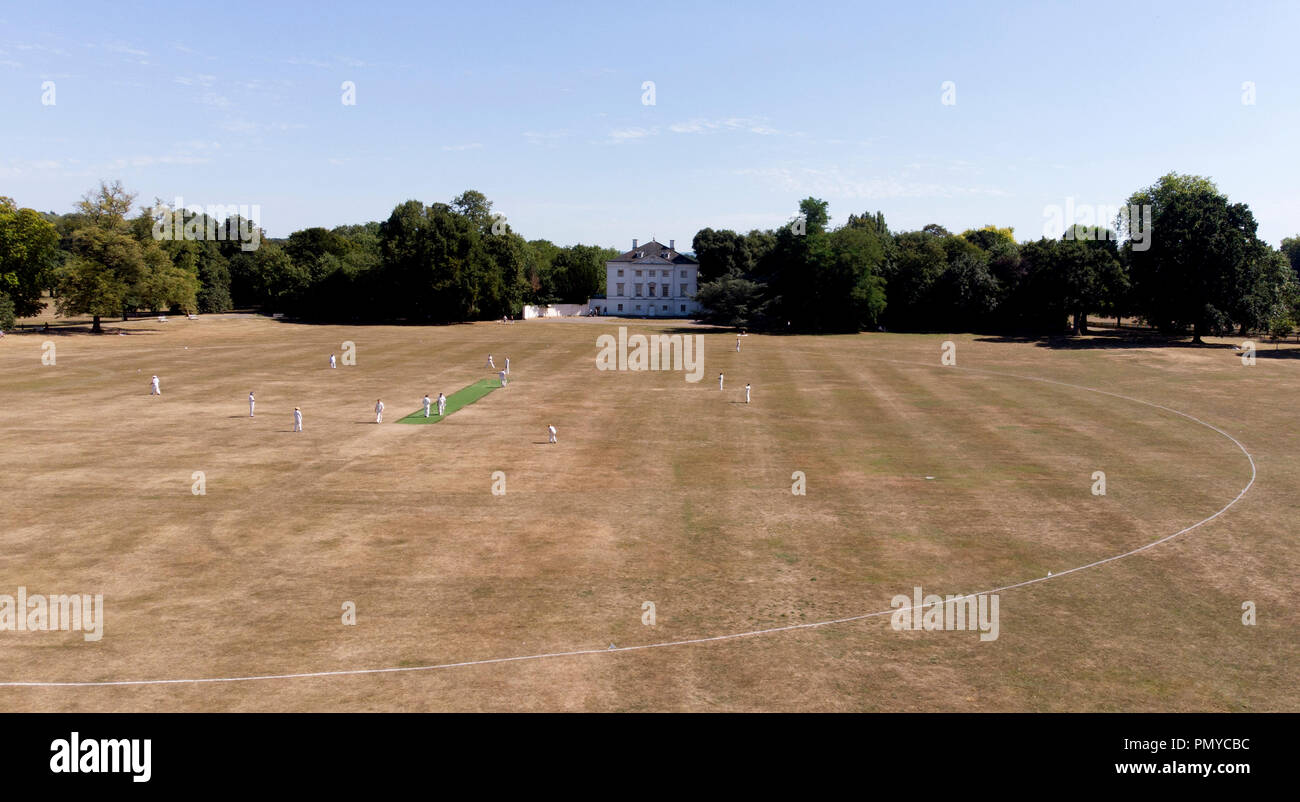 Der grüne Streifen des Grases für die wicket in einem Kricket Spiel bei Marble Hill während des heißen Sommers 2018, wenn das Gras verbrannte trockenes Ertrinken Stockfoto