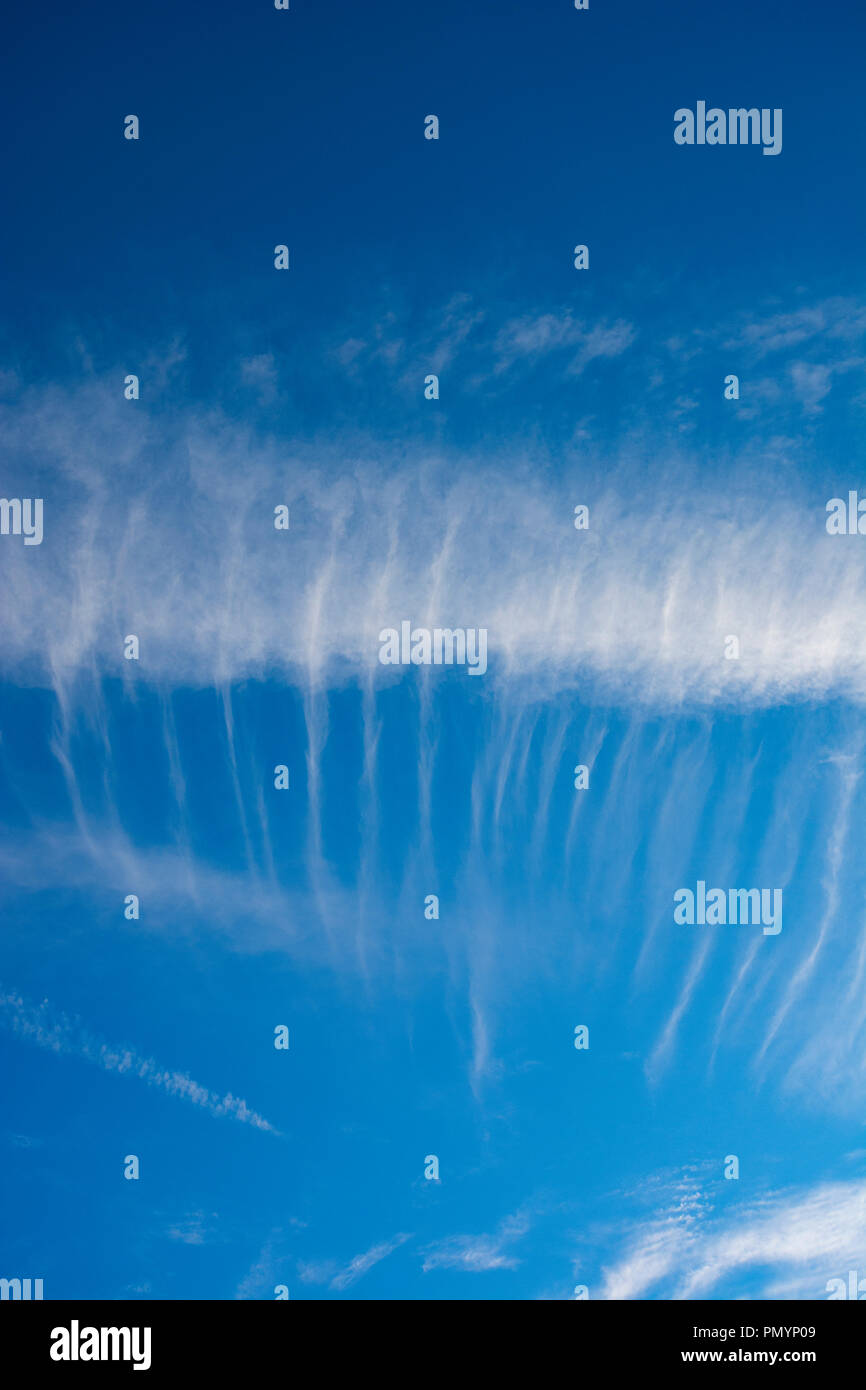 Wispy Cirrus cloud Formationen gegen den tiefblauen Himmel. Stockfoto