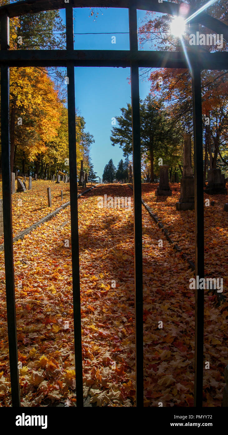 Blick auf einen alten Friedhof durch das Tor Bars im Herbst Halloween Stockfoto