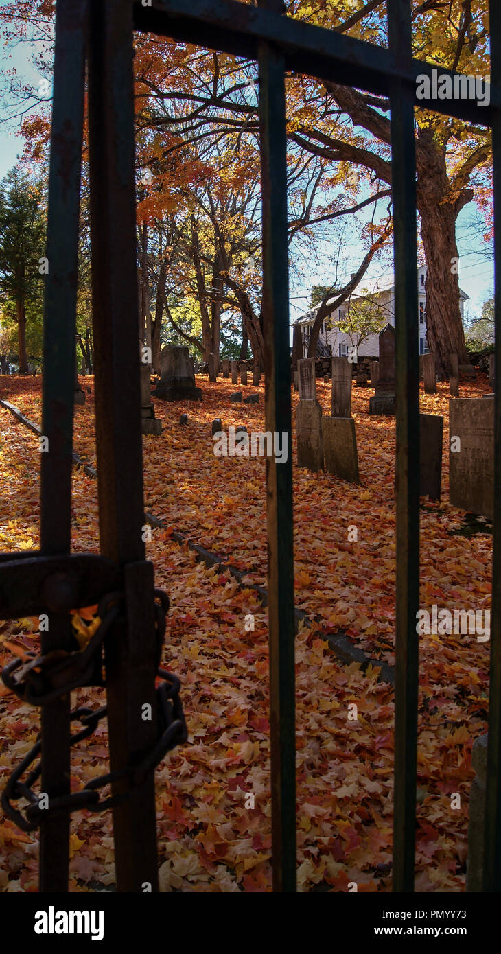 Blick auf einen alten Friedhof durch das Tor Bars im Herbst Halloween Stockfoto
