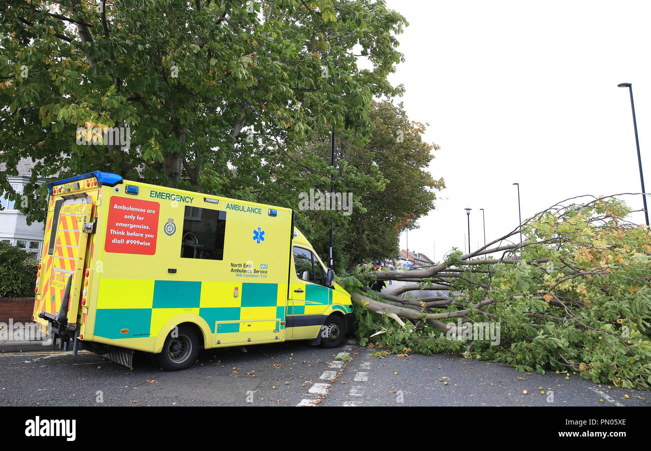 Ein Krankenwagen, die in eine umgefallene Baum in Newcastle abgestürzt wie die Met Office der gelbe Wind aktualisiert hat Warnung für Sturm Ali, sagen gibt es jetzt eine hohe Wahrscheinlichkeit von Auswirkungen, sowie die Verlängerung der Gegend, die er abdeckt. Stockfoto