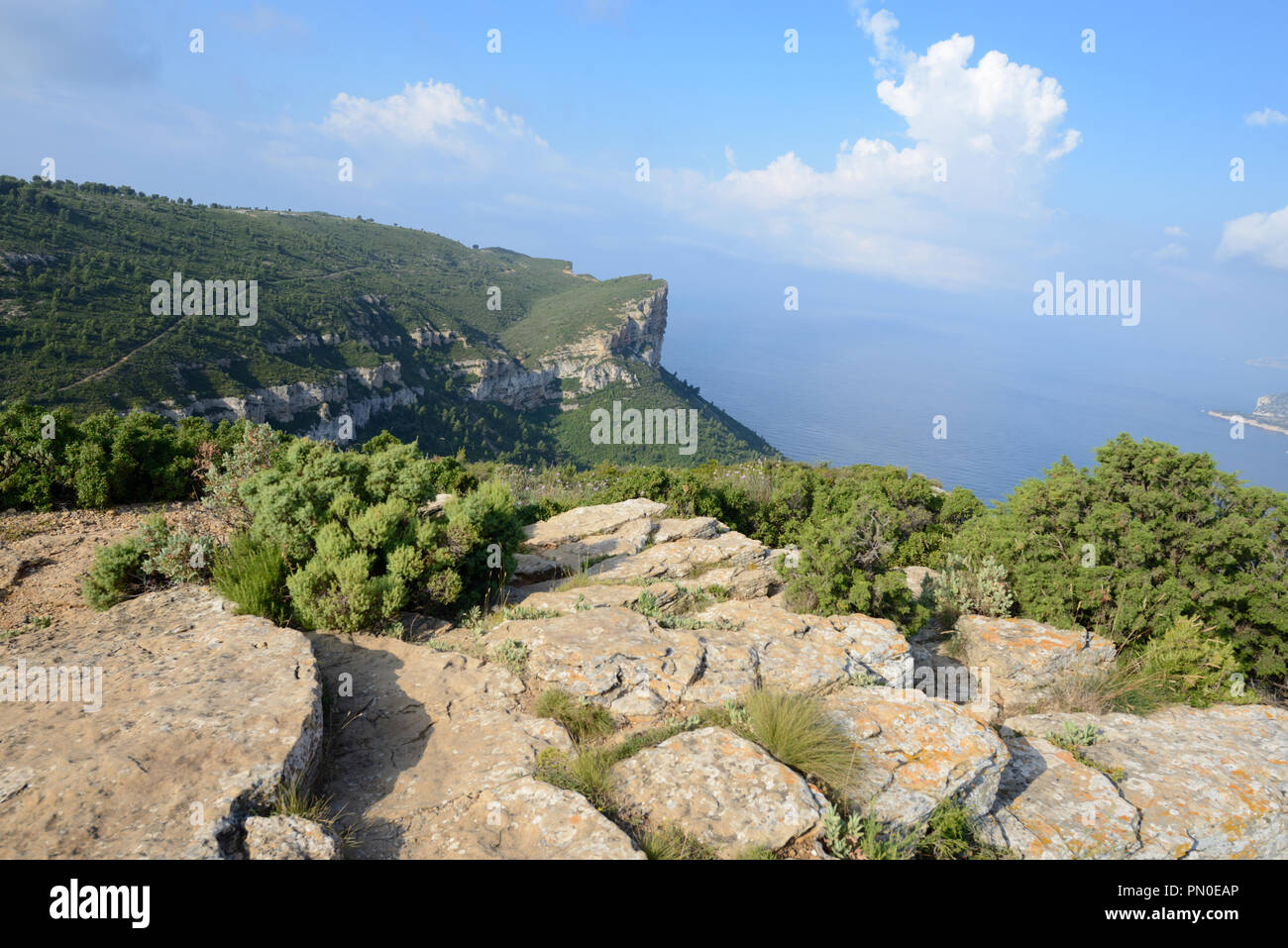 Blick von der Klippe, Route des Crêtes, Coast Road & Küstenweg, zwischen Cassis und La Ciotat an der Mittelmeerküste in der Provence Frankreich Stockfoto