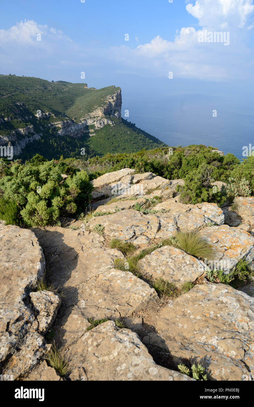 Blick von der Klippe, Route des Crêtes, Coast Road & Küstenweg, zwischen Cassis und La Ciotat an der Mittelmeerküste in der Provence Frankreich Stockfoto