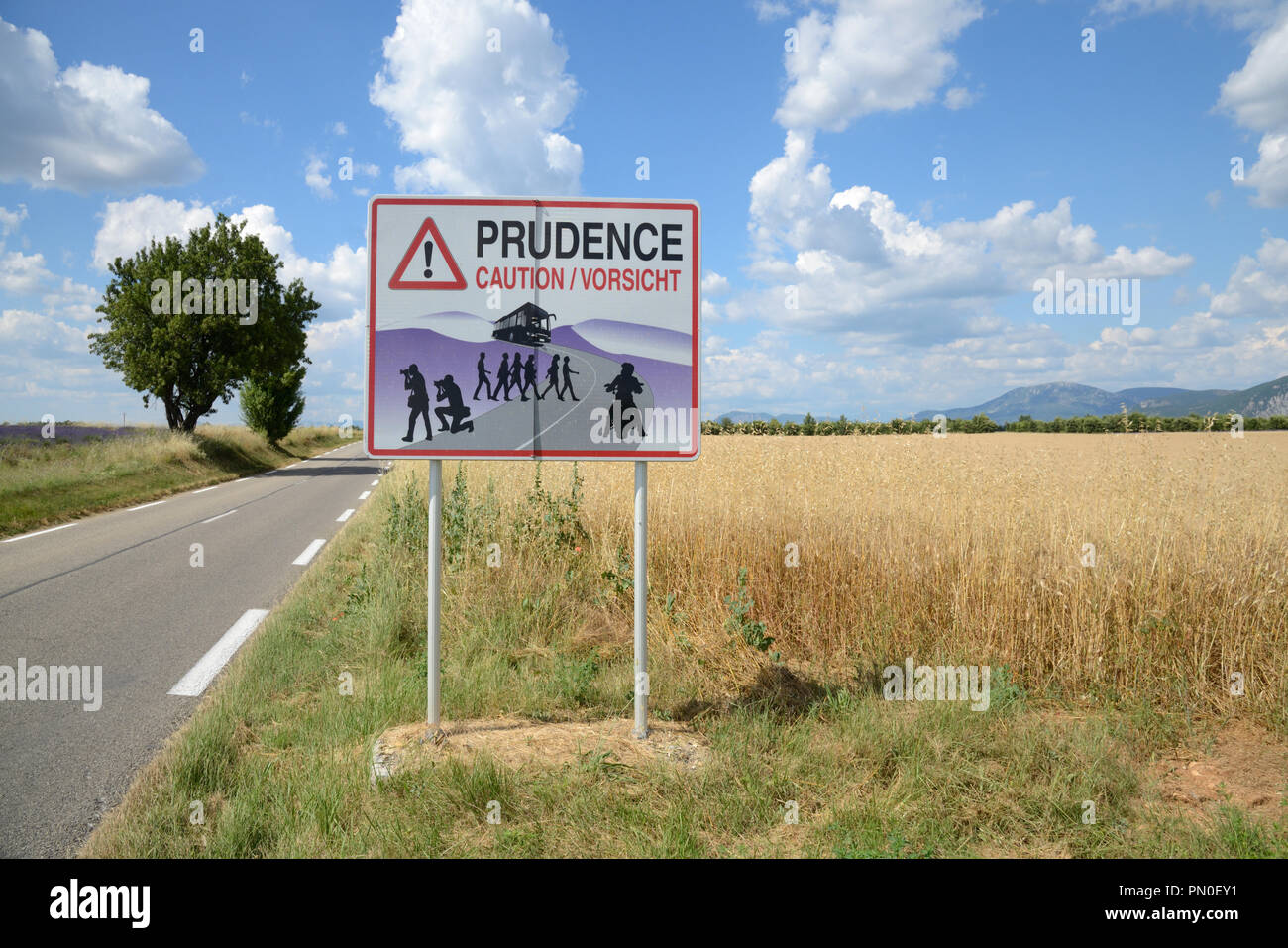 Warnung Verkehrsschild warnt vor Gruppen von Touristen vor Fotografieren Lavendel Felder auf dem Plateau von Valensole Alpes-de-Haute-Provence, Frankreich Stockfoto