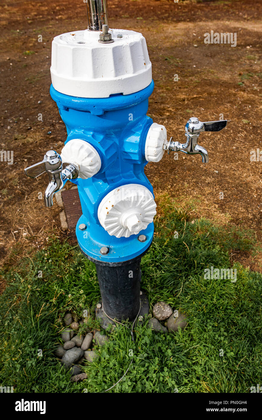 Hydrant Trinkbrunnen, Campbell River, British Columbia, Kanada Stockfoto