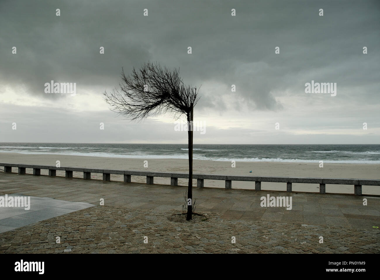 Torreira in einem Winter stürmischer Tag. Portugal Stockfoto