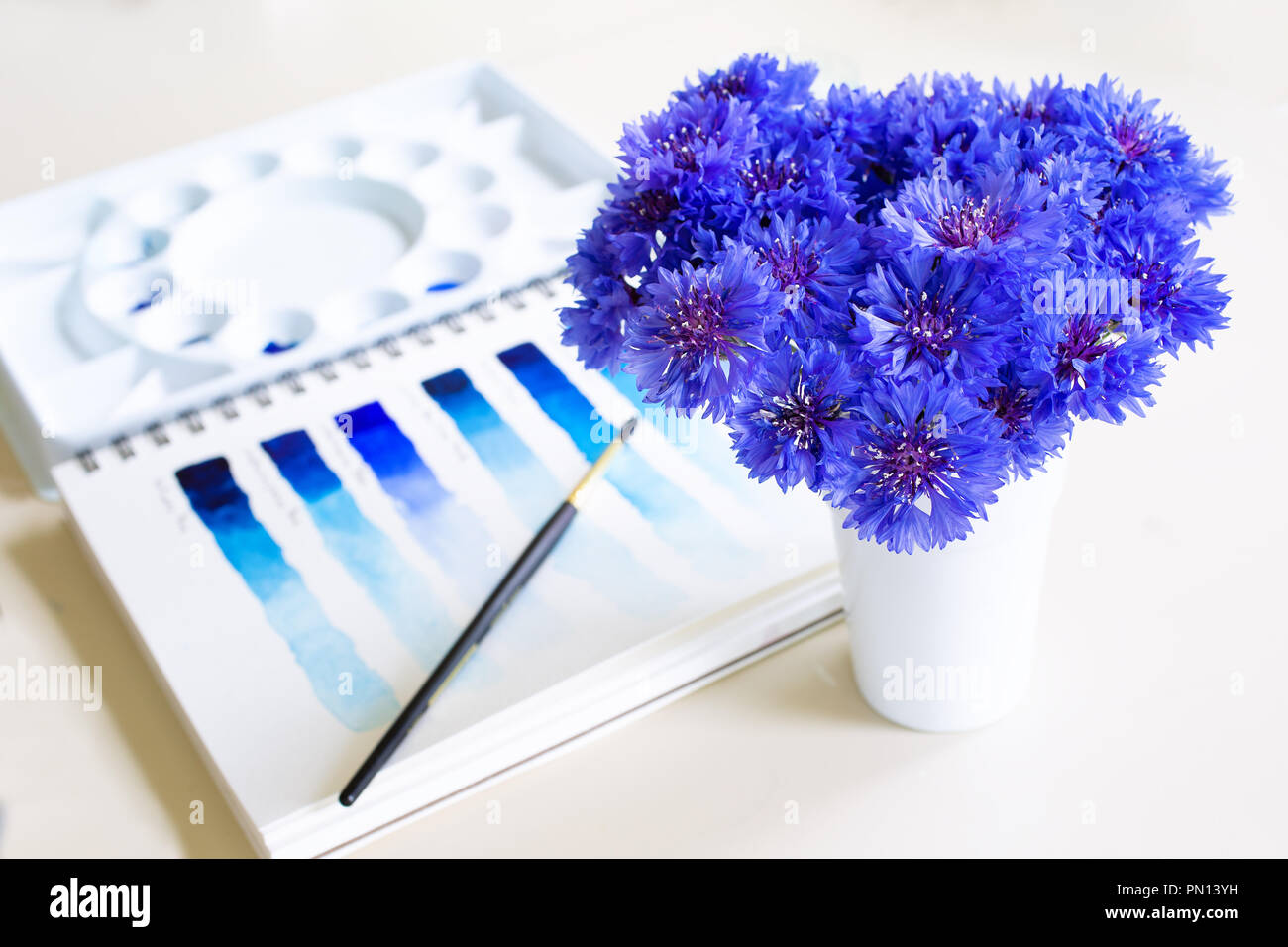 Verschiedene blau Aquarell Farben in der Palette und auf Papier. Mit einer Vase mit Blumen blau Bachelor- Taste. Stockfoto