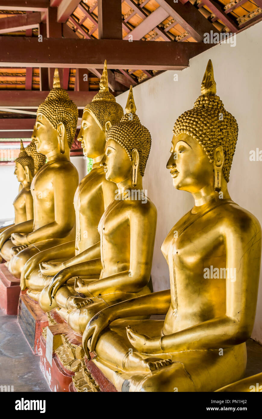 Reihe von Buddhas im Wat Phra Sri Rattana Mahathat Tempel, Phitsanulok, Thailand Stockfoto