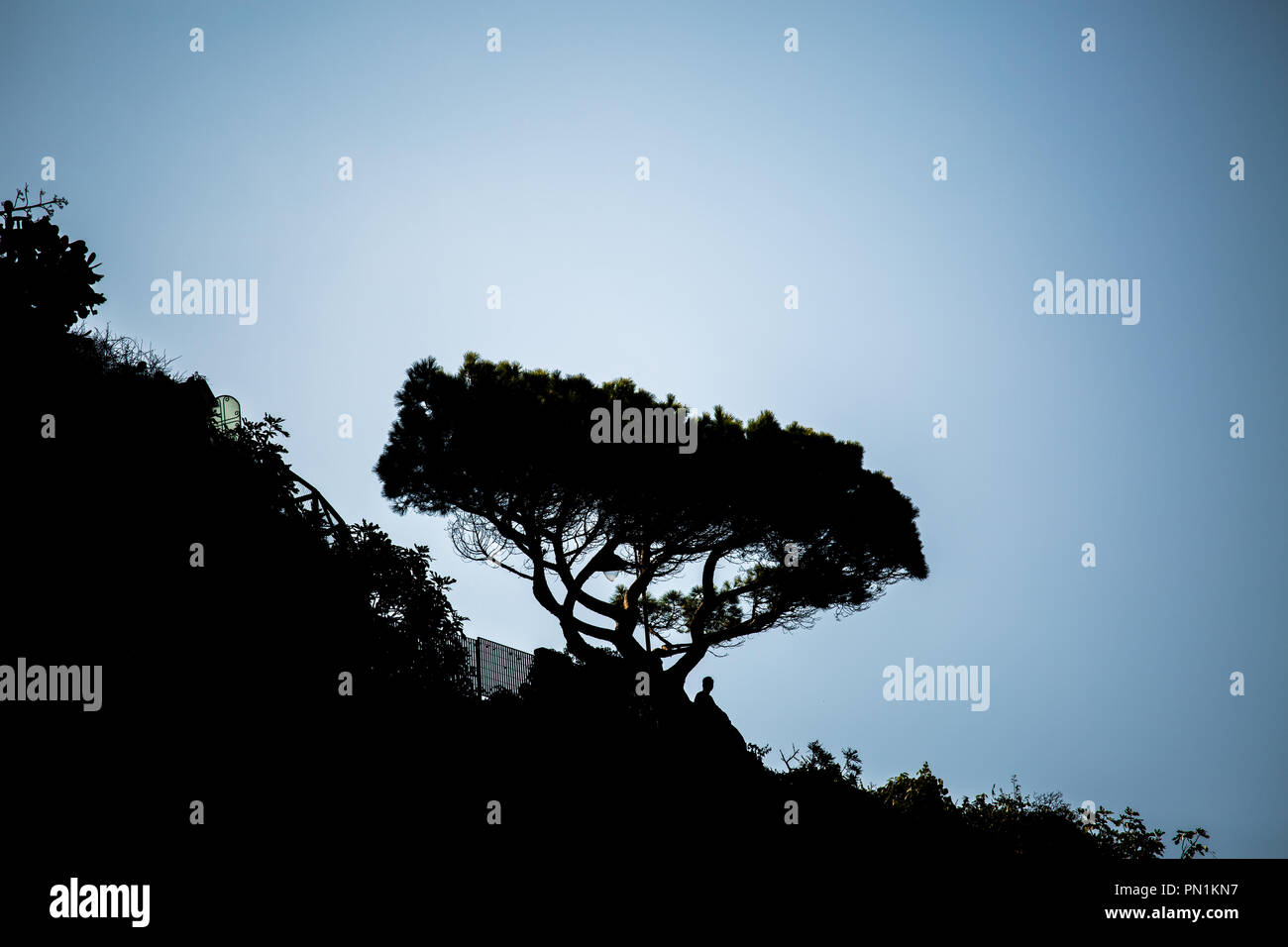 Wandern die Wanderwege in der Nationalpark von Cinque Terre, zwischen den 5 kleine Dörfer - ligury - Italien Stockfoto