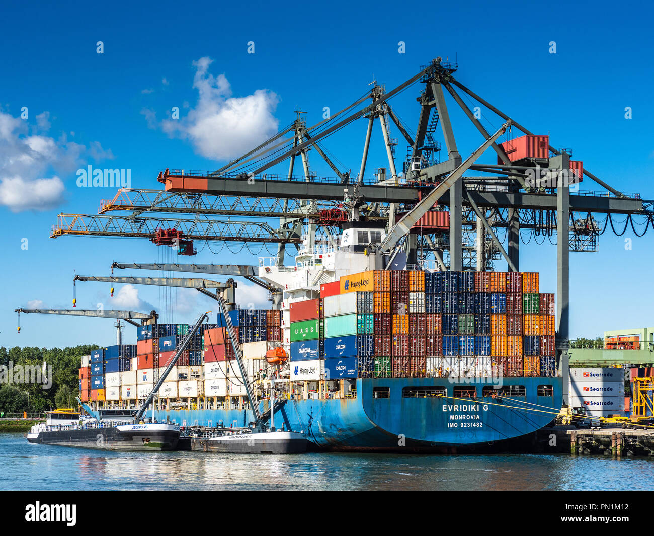 Hafen Rotterdam - Rotterdam Container port - ein Containerschiff lädt und entlädt Behältern in den Rotterdamer Hafen, dem größten Hafen an der Maas Stockfoto
