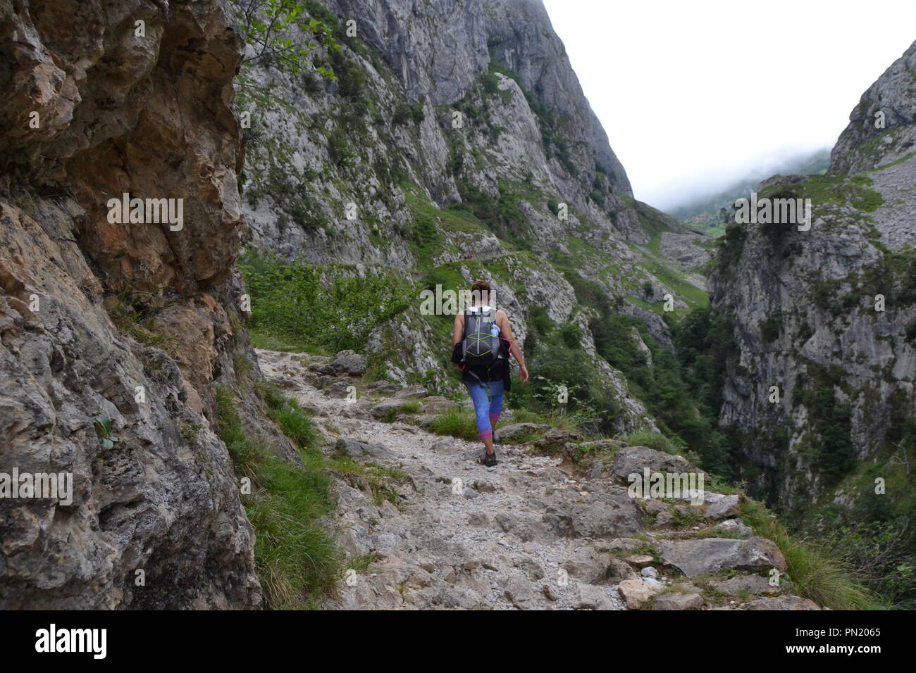 Aufnahme in die Picos de Europa mountais Stockfoto